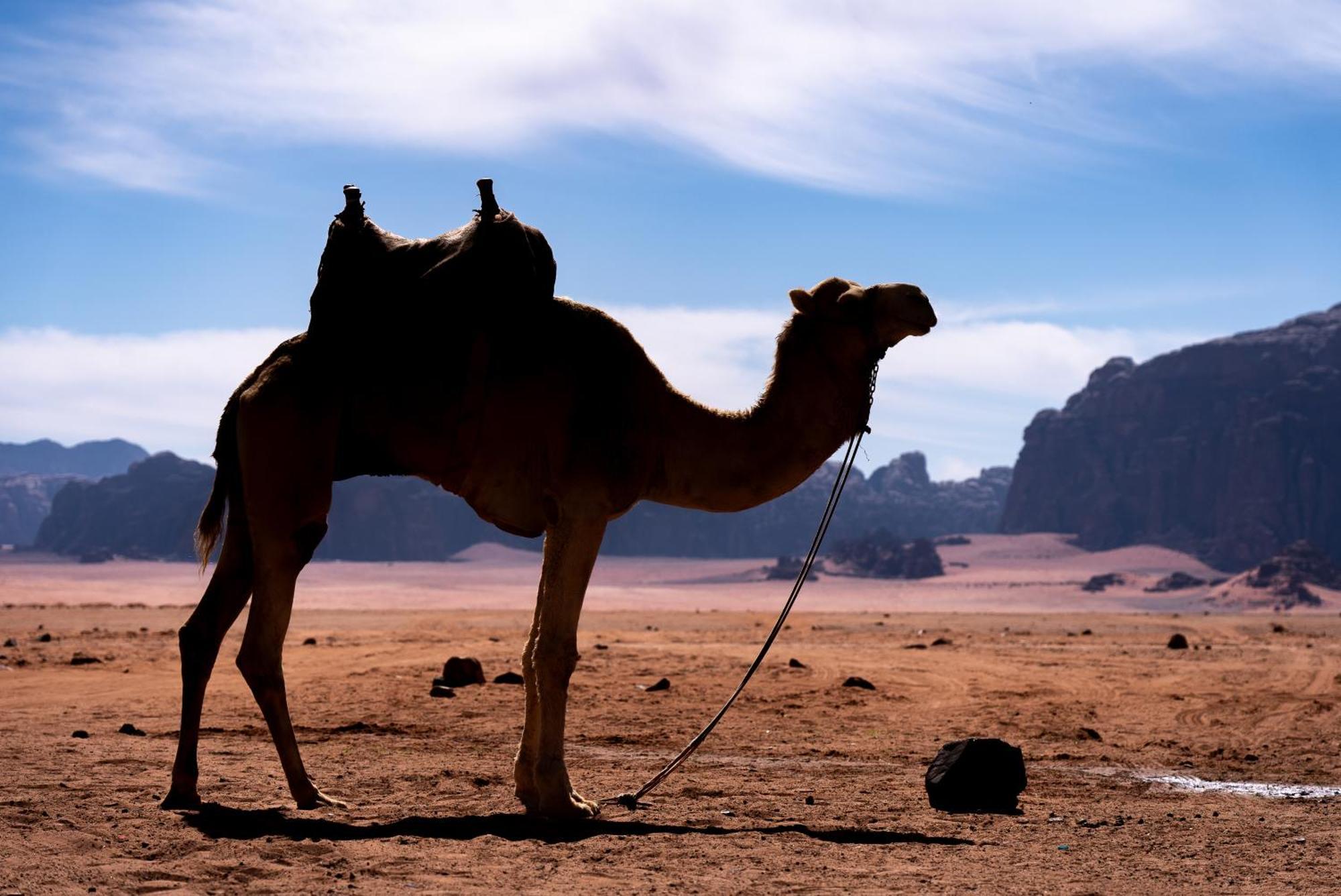 Hotel Oblivion Camp Wadi Rum Esterno foto